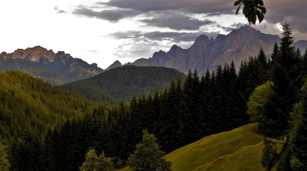 Tarvisiano. Una foresta millenaria da scoprire al confine con Austria e Slovenia