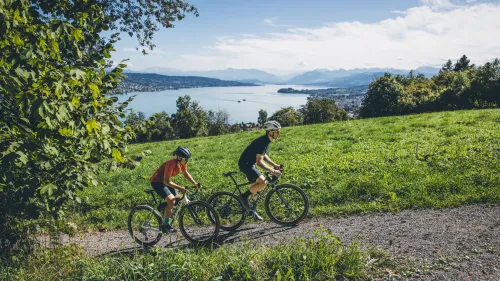 Bike a Zurigo
